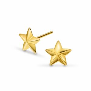 Hovedbilde &Oslash;repynt i gult gull, stjerne