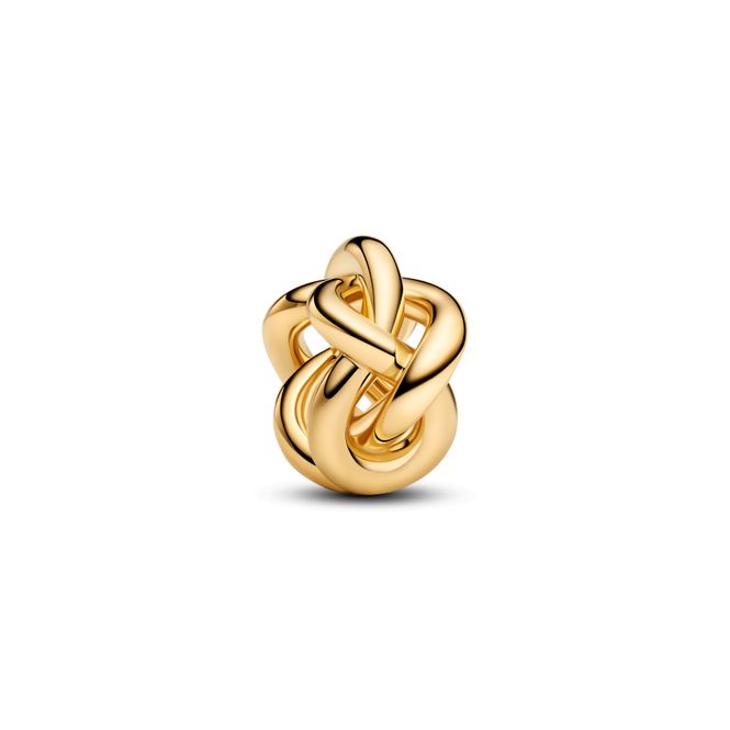Hovedbilde Infinity Knot Charm