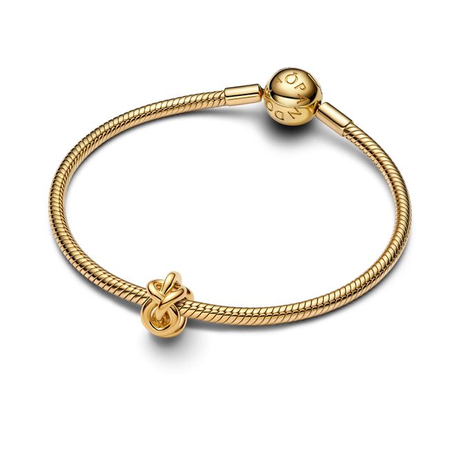 Hovedbilde Infinity Knot Charm
